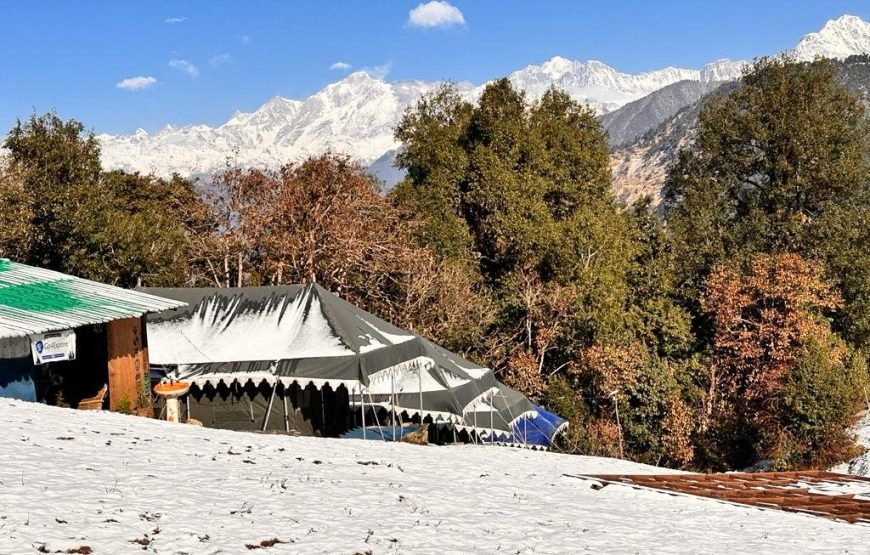 Mountain Delight Camp