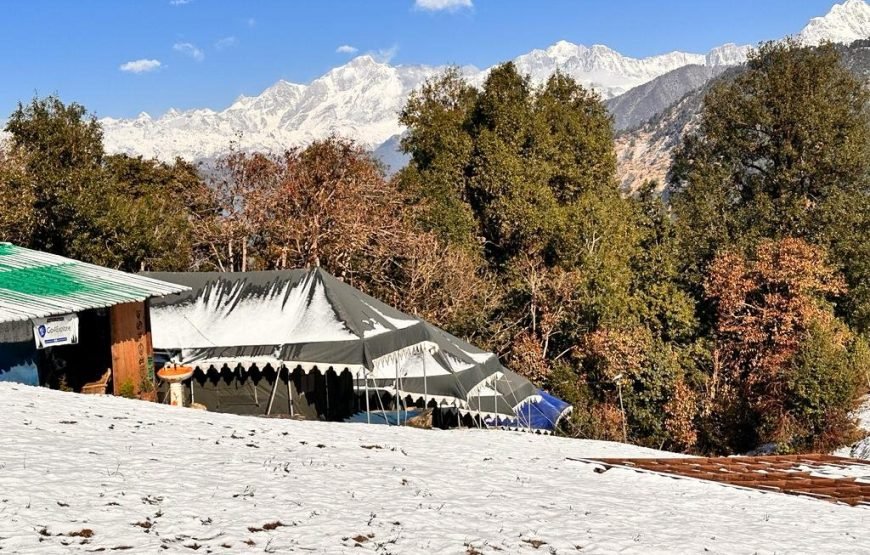 Mountain Delight Camp