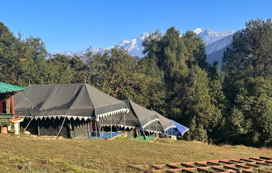 Mountain Delight Camp