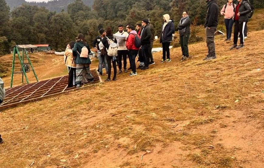 Mountain Delight Camp