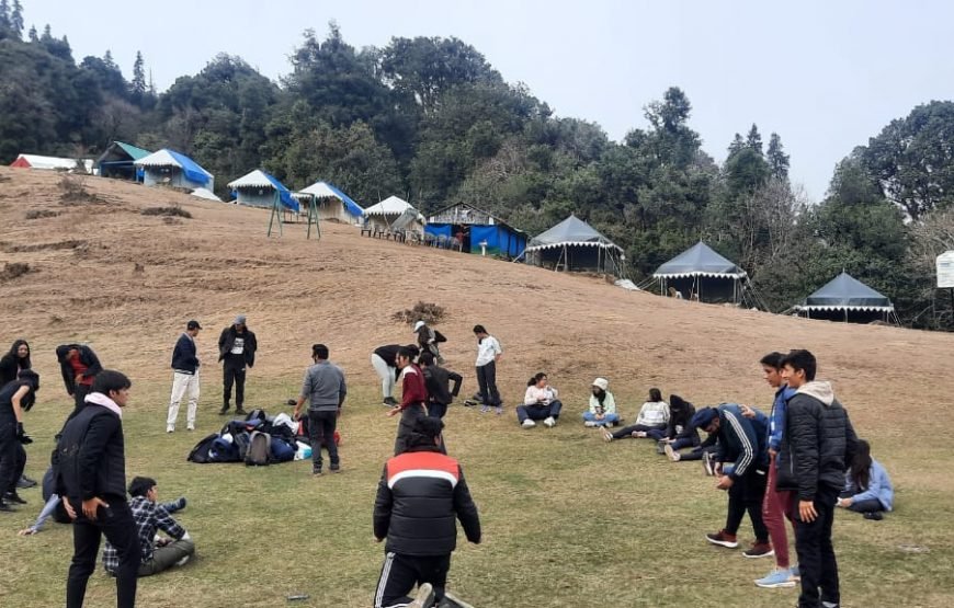 Mountain Delight Camp