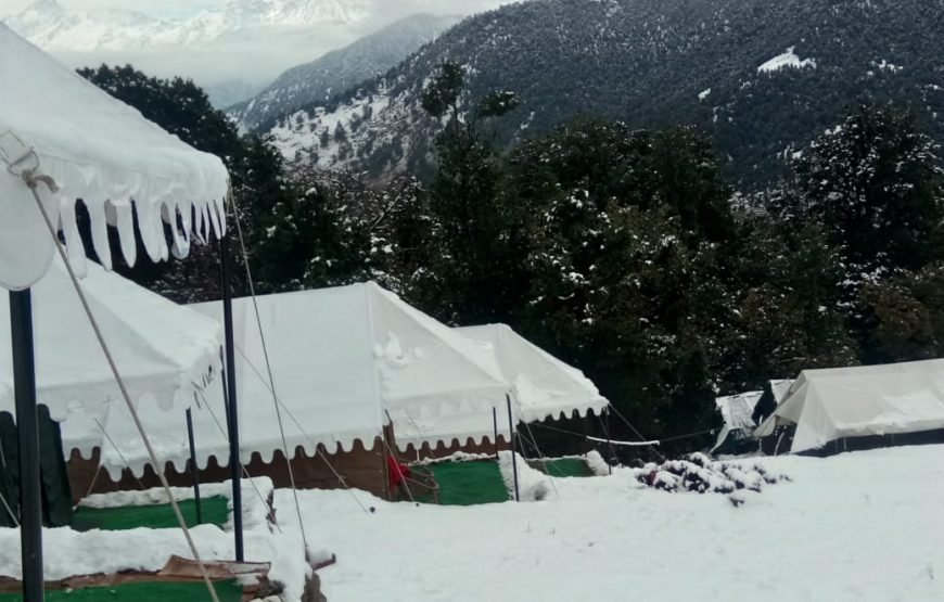 Mountain Delight Camp