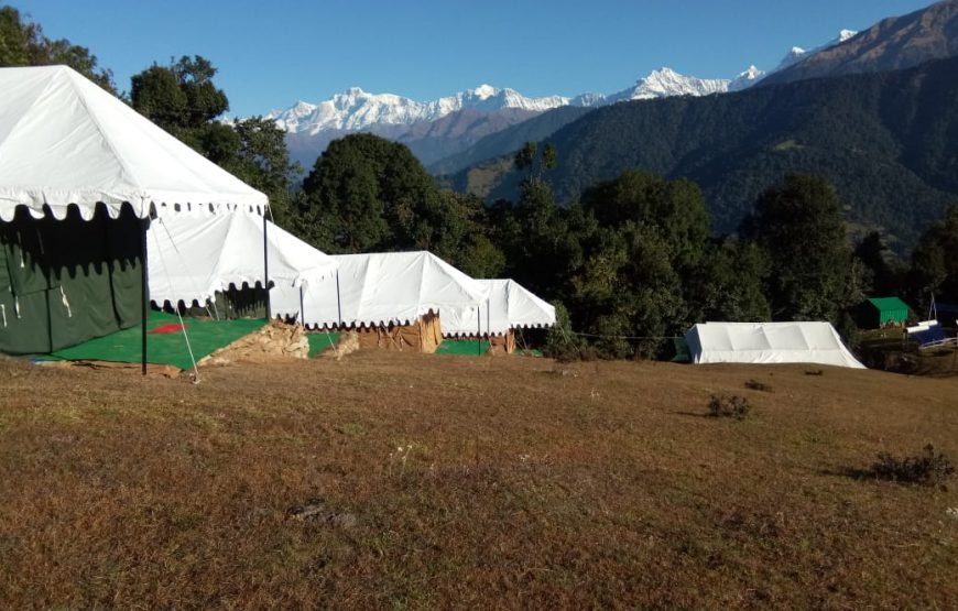 Mountain Delight Camp