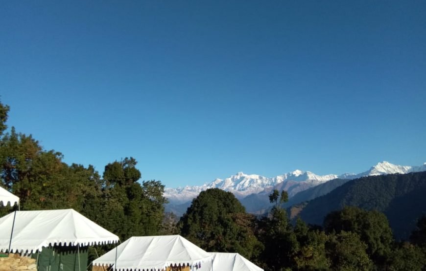 Mountain Delight Camp