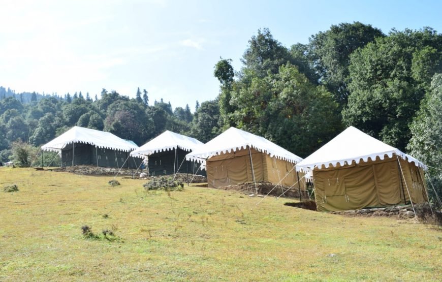 Mountain Delight Camp