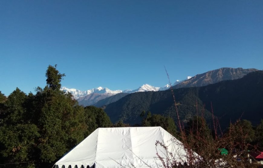 Mountain Delight Camp