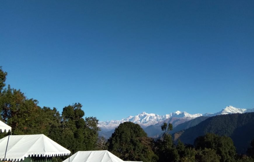 Mountain Delight Camp