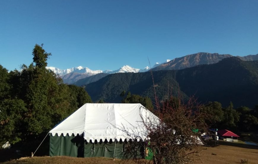 Mountain Delight Camp