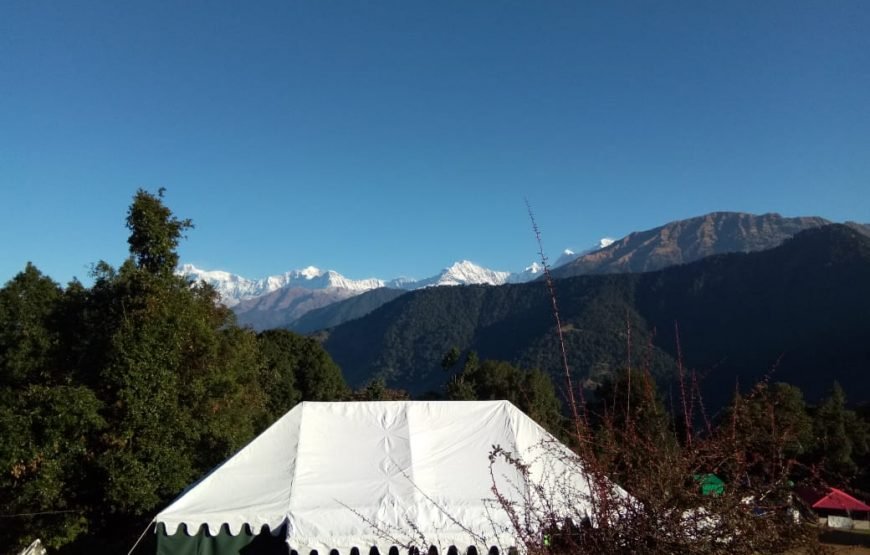 Mountain Delight Camp