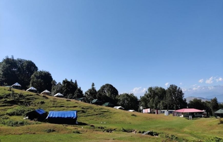 Mountain Delight Camp