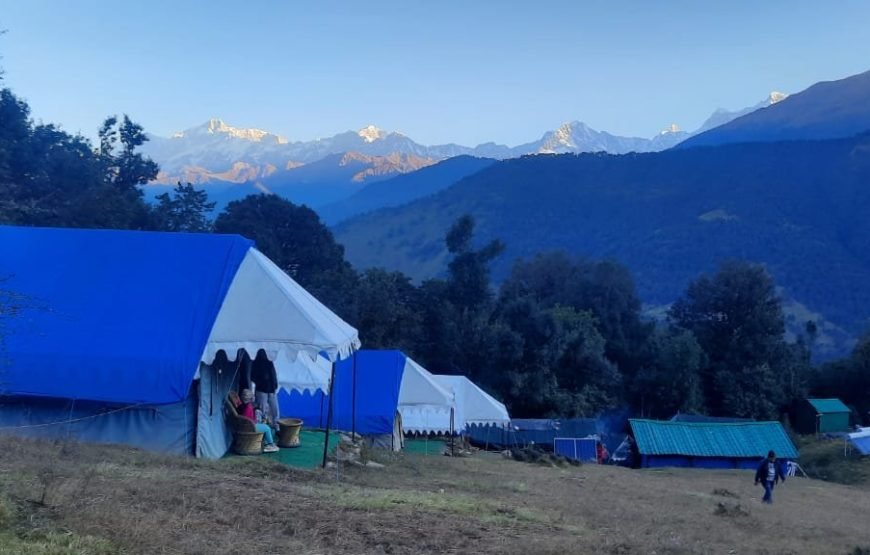 Mountain Delight Camp