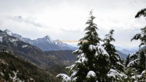 Read more about the article Escape to a Serene Retreat in a Garden Cottage in Dhanaulti, Uttarakhand