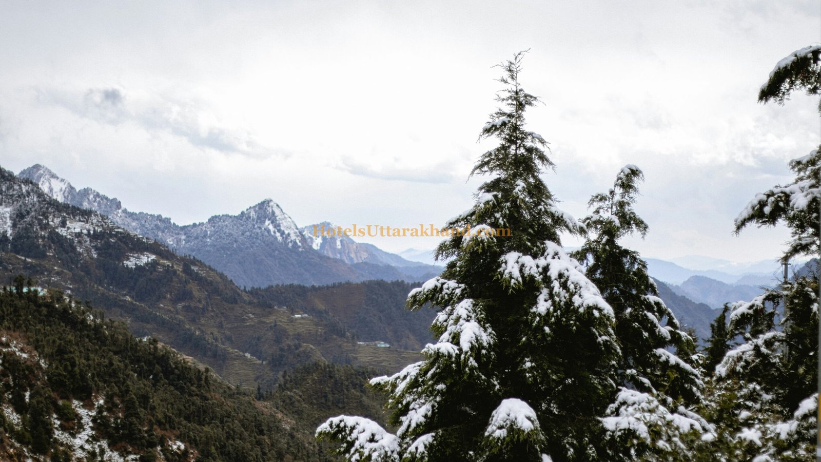 Escape to a Serene Retreat in a Garden Cottage in Dhanaulti, Uttarakhand